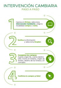info_ntervencion_cambiaria_cv